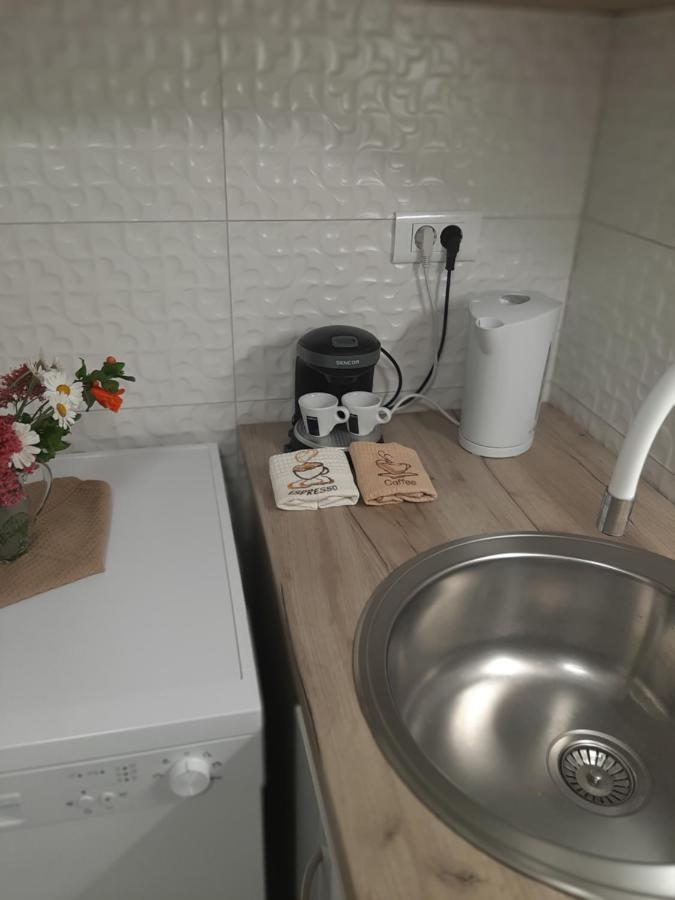 Apartman Maslina 皮萨克 外观 照片